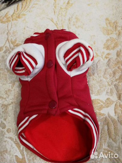 Одежда для маленьких собак