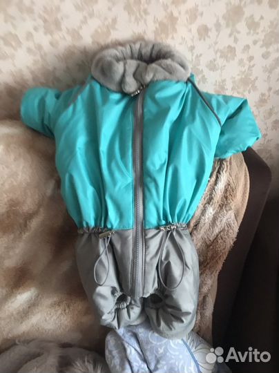 Зимний комбинезон для собаки