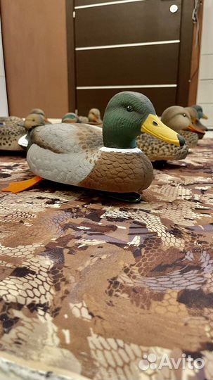 Утки чучела