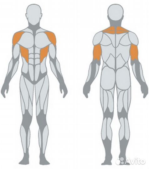 Жим над головой (круговой) Panatta 1MTH024