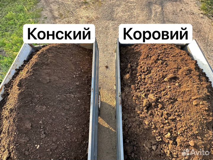 Перегной/чернозем