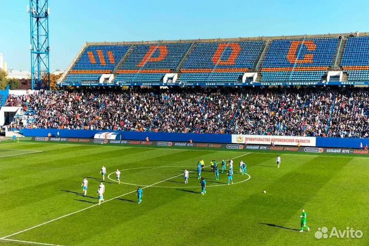 Подработка / 10.11.2023