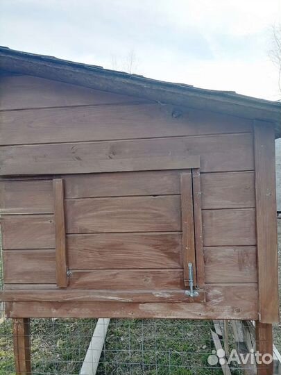 Курятник на 10 кур