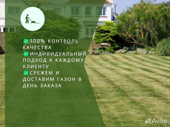 Рулонный газон /продажа/укладка