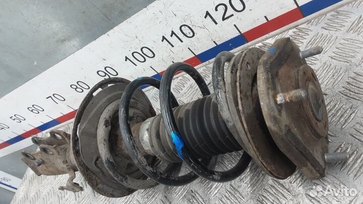 Стойка передняя Suzuki Grand Vitara II (2005–2016)