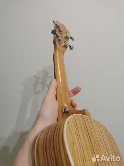 Укулеле концерт