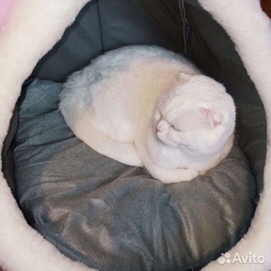 Лежанка для кошек