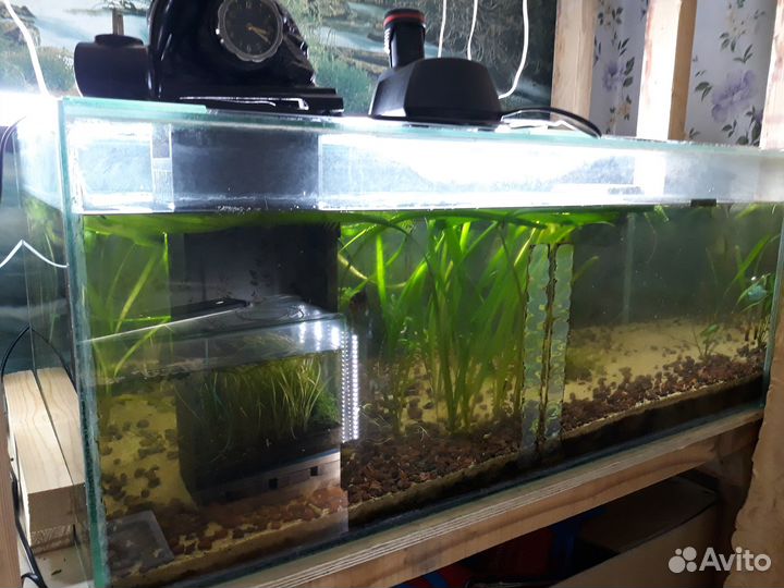 Фильтры Juwel Bioflow 3.0/M 500л/ч