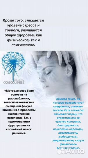 Телесные процессы Аксесс, Аксесс барс