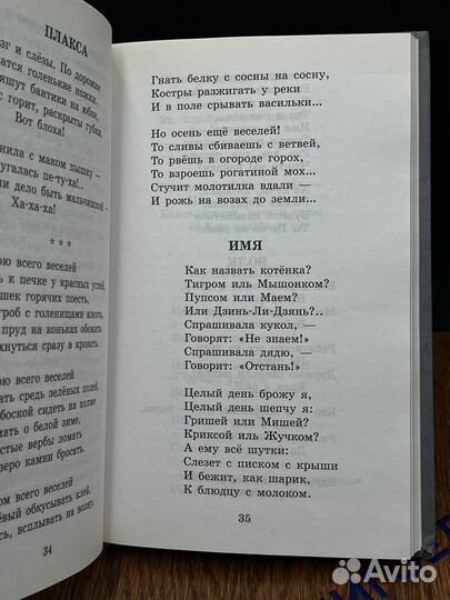 Дневник Фокса Микки