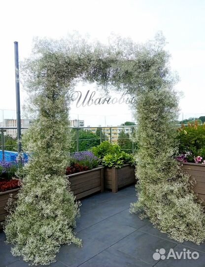 Свадьба под ключ. Полная организация свадьбы