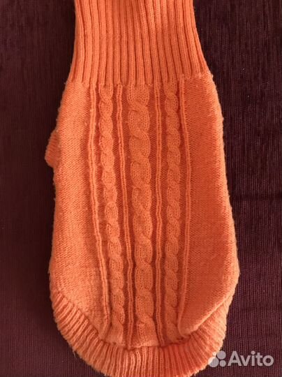 Одежда для собак мелких пород