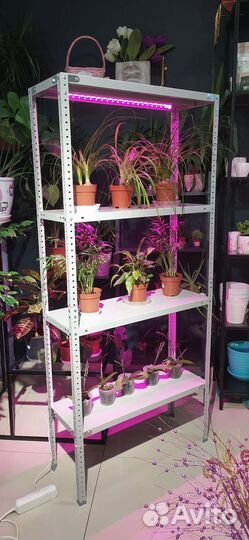 Стеллаж для рассады и комнатных растений