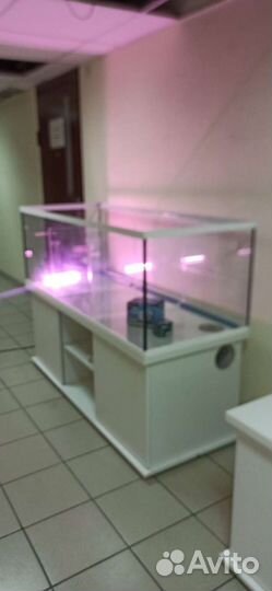 Аквариум 500 для торговли живыми раками, трёх сек