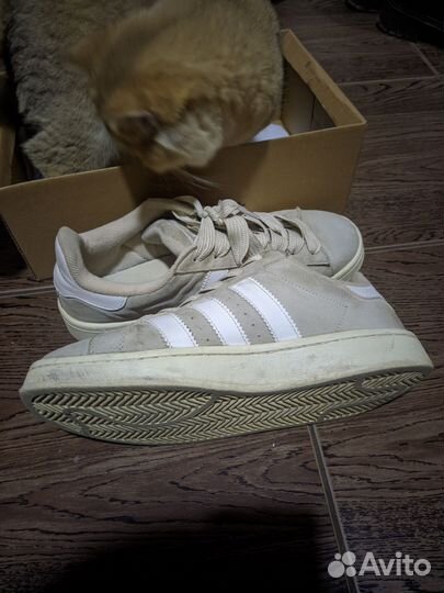 Adidas campus 00 бежевые