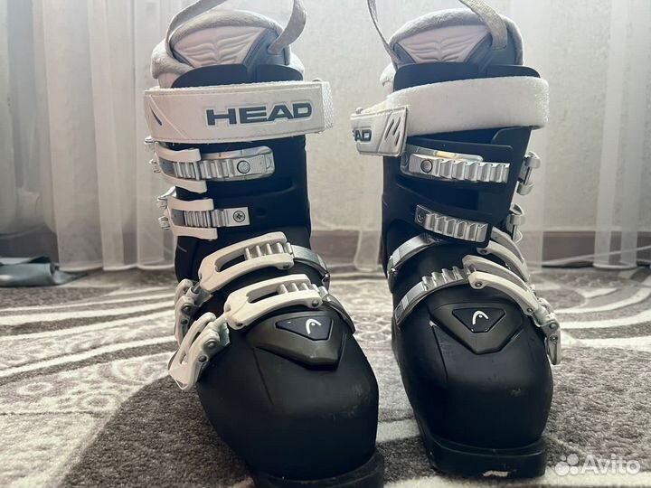 Горные лыжи head