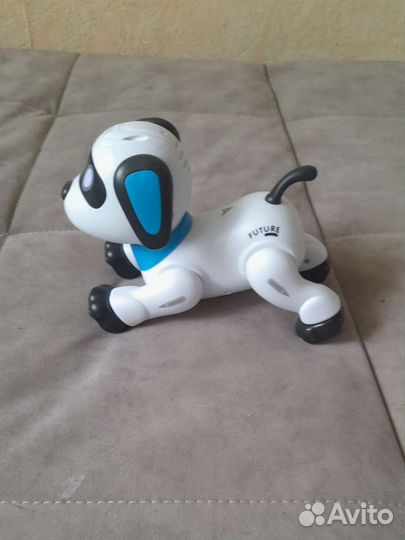 Собака робот