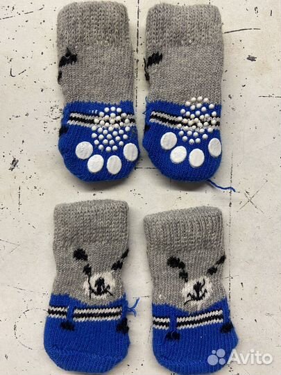 Носочки для животных