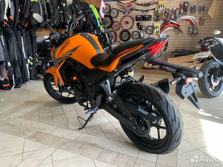 Мотоцикл 300 DF BIG bore (XF300-B) (CBS300 с балан