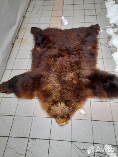 Медвежья шкура (имитация)