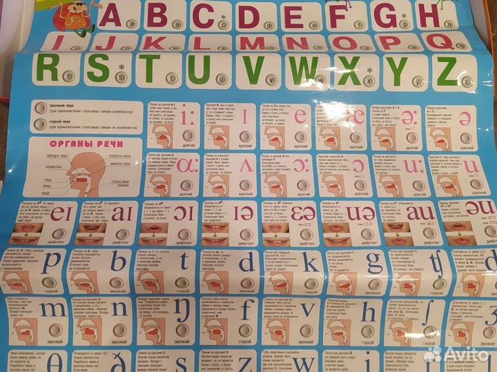 Говорящий плакат для изучения английского 