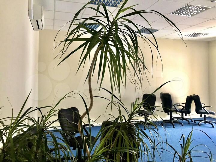 Сдам офисное помещение, 43.6 м²