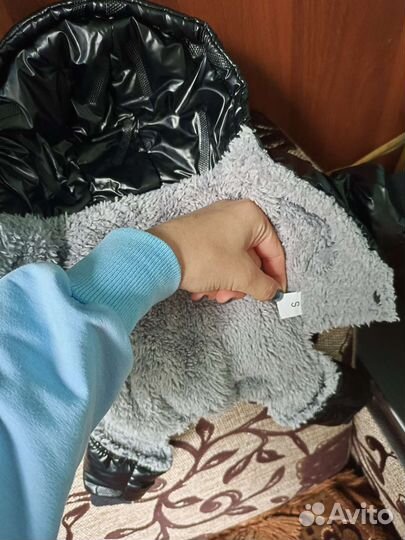 Одежда для маленьких пород собак