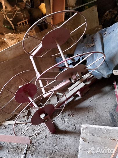 Сеялка клен