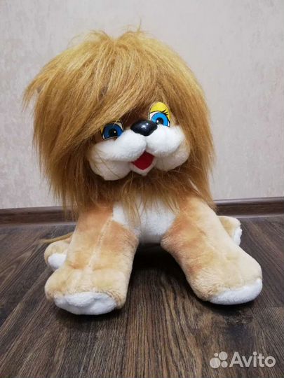 Новый львенок