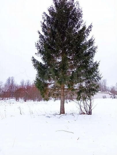 Участок 21 сот. (ИЖС)