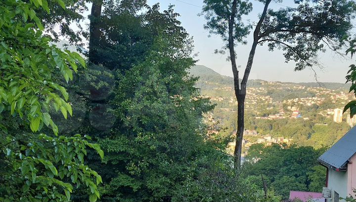 Участок 6 сот. (СНТ, ДНП)