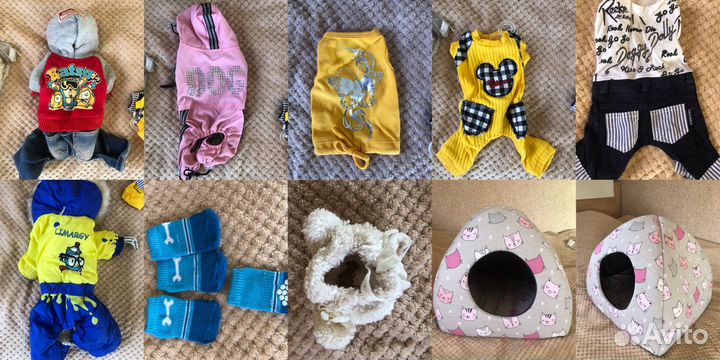 Одежда и домик для животных