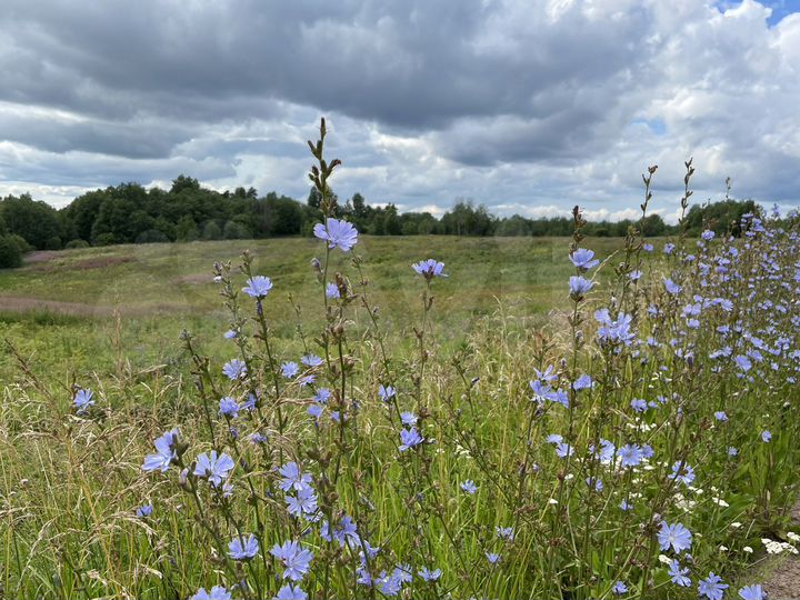 Участок 16,6 сот. (ИЖС)