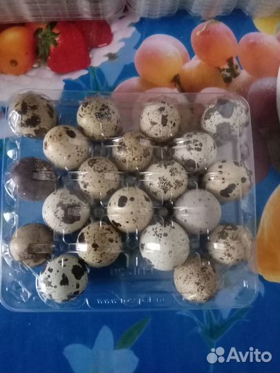 Яйцо перепелинное