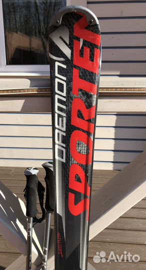 Горные лыжи