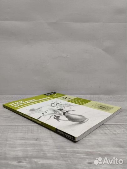 Диана Кардаччи. Уроки рисования для начинающих