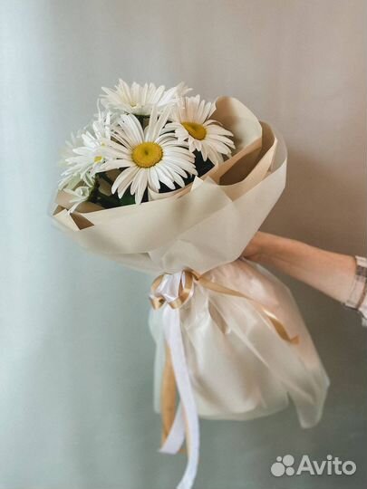 Свежие ромашки