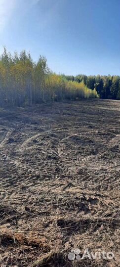 Услуги мульчера, расчистка