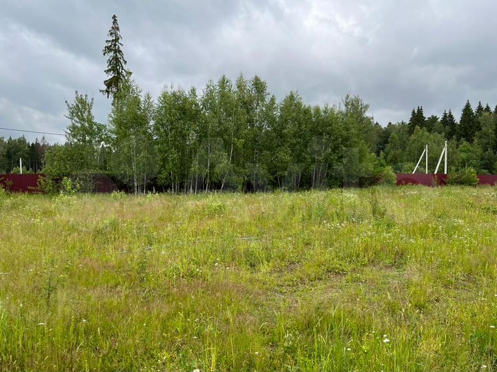 Участок 24,8 сот. (СНТ, ДНП)