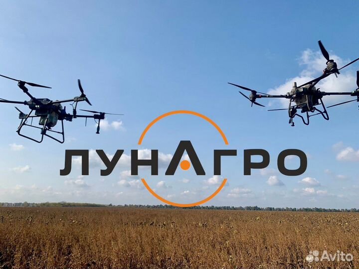 Обработка, опрыскивание полей дронами. Десикация