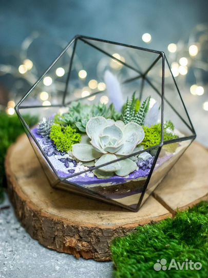 Ваза для флорариума