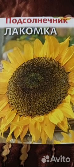 Семена подсолнечника