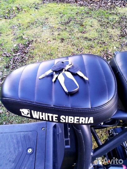 Трицикл White Siberia Pro Trike 3000 W