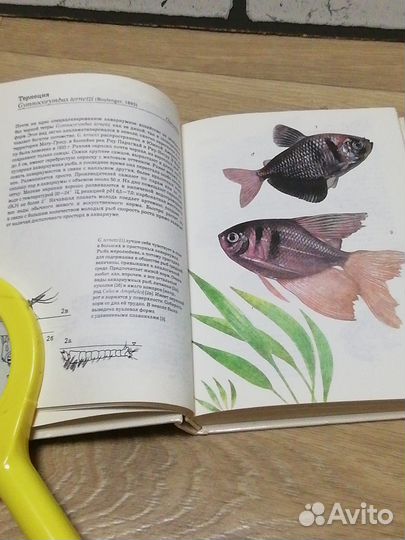 Книга Аквариумные и тропические рыбы