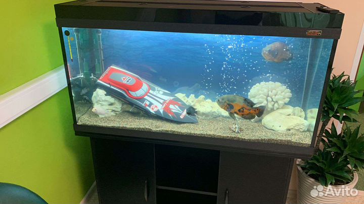 Обслуживание (чистка) аквариумов