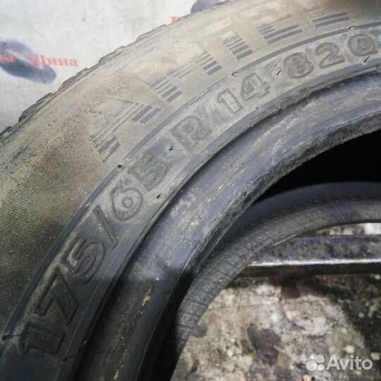 Amtel NordMaster 175/65 R14