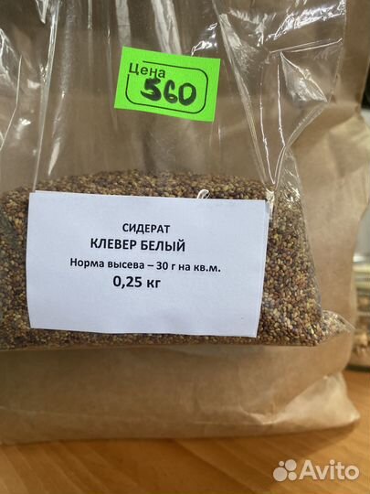 Семена белого клевера 250 г Сидераты
