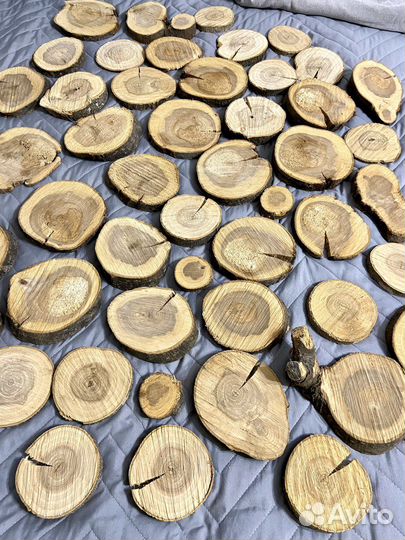 Спилы дерева для декора
