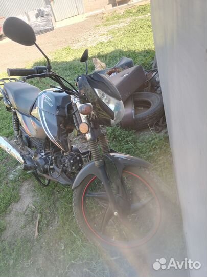 Альфа Сириус спорт