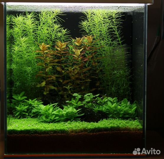 Аквариум куб 4.5 литра